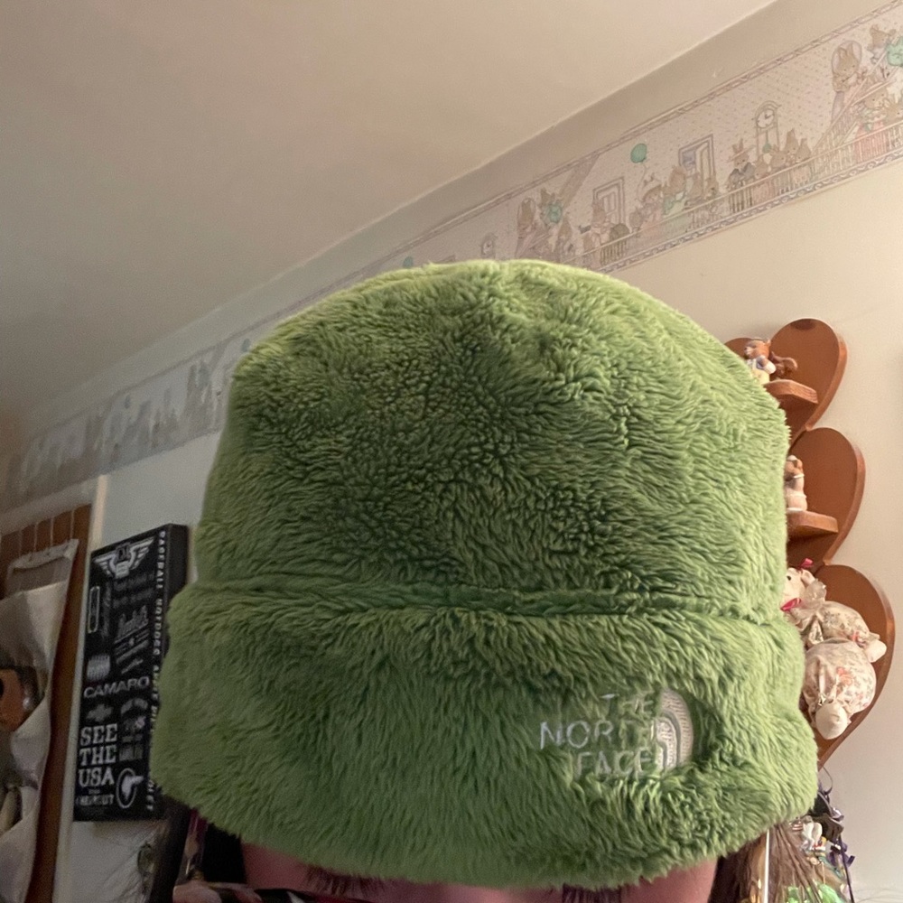 The North face fuzzy winter beanie
